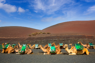 Lanzarote