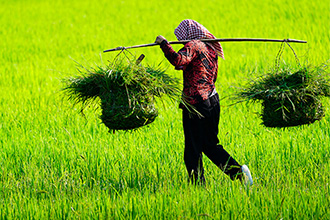 Vietnam